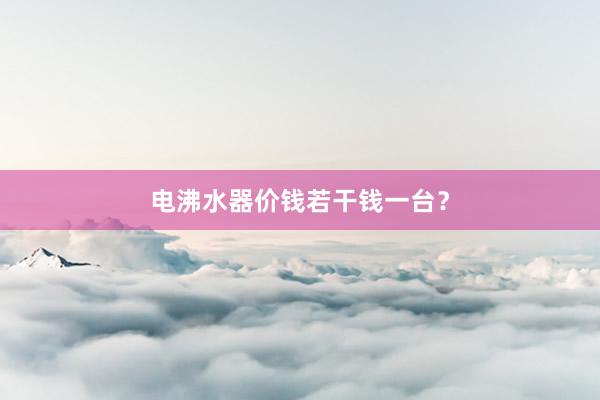 电沸水器价钱若干钱一台？